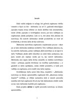 Referāts 'Gada projekts', 5.
