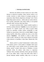 Referāts 'Gada projekts', 7.