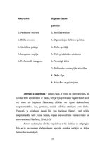 Referāts 'Gada projekts', 17.