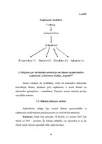 Referāts 'Gada projekts', 29.