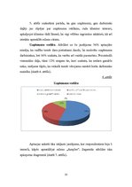 Referāts 'Gada projekts', 33.