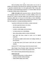 Referāts 'Frančaizinga izmantošana uzņēmuma attīstības stratēģijas realizācijā', 9.