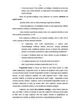 Referāts 'Frančaizinga izmantošana uzņēmuma attīstības stratēģijas realizācijā', 19.