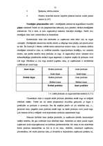 Referāts 'Frančaizinga izmantošana uzņēmuma attīstības stratēģijas realizācijā', 21.