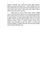 Referāts 'Frančaizinga izmantošana uzņēmuma attīstības stratēģijas realizācijā', 22.