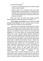 Referāts 'Frančaizinga izmantošana uzņēmuma attīstības stratēģijas realizācijā', 26.