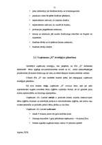 Referāts 'Frančaizinga izmantošana uzņēmuma attīstības stratēģijas realizācijā', 30.