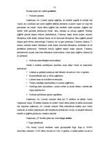 Referāts 'Frančaizinga izmantošana uzņēmuma attīstības stratēģijas realizācijā', 32.