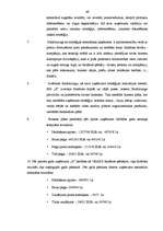 Referāts 'Frančaizinga izmantošana uzņēmuma attīstības stratēģijas realizācijā', 48.