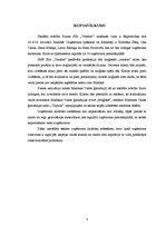 Biznesa plāns 'Biznesa plāns SMF "Voodoo"', 3.