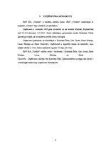 Biznesa plāns 'Biznesa plāns SMF "Voodoo"', 4.