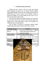 Biznesa plāns 'Biznesa plāns SMF "Voodoo"', 5.