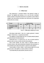 Biznesa plāns 'Biznesa plāns SMF "Voodoo"', 7.