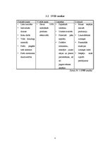 Biznesa plāns 'Biznesa plāns SMF "Voodoo"', 8.