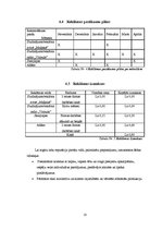 Biznesa plāns 'Biznesa plāns SMF "Voodoo"', 10.