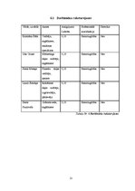 Biznesa plāns 'Biznesa plāns SMF "Voodoo"', 13.