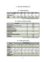 Biznesa plāns 'Biznesa plāns SMF "Voodoo"', 15.