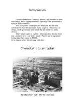 Referāts 'Chernobyl', 2.