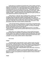 Referāts 'Skaitļu un krāsu kodi latviešu un krievu tautas pasakās', 13.