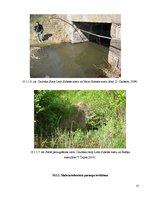 Referāts 'Dabas apsaimniekošanas plāns "Subates ezeru sistēma"', 57.