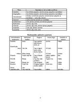 Referāts 'Polimēri', 6.