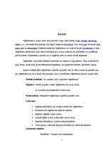 Referāts 'Veģetārisms un jaunieši', 5.