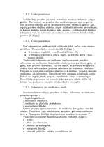 Referāts 'Investīciju projektu finanšu-ekonomiskais novērtējums', 7.