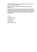 Referāts 'Jung Typology Test', 3.