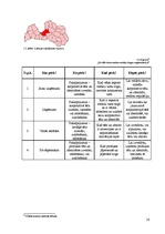 Biznesa plāns 'SIA "LIID" biznesa plāns', 16.