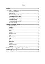 Referāts 'Daugavpils ekonomiskā attīstība', 3.