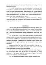 Referāts 'Daugavpils ekonomiskā attīstība', 16.