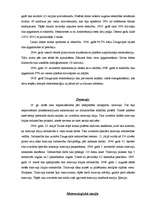 Referāts 'Daugavpils ekonomiskā attīstība', 23.