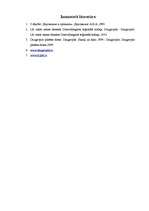 Referāts 'Daugavpils ekonomiskā attīstība', 30.