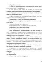 Referāts 'Ārvalstu konstitucionālās tiesības', 17.