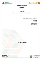 Biznesa plāns 'Biznesa plāns', 1.