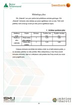 Biznesa plāns 'Biznesa plāns', 10.