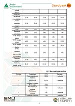 Biznesa plāns 'Biznesa plāns', 13.