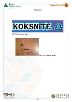 Biznesa plāns 'Biznesa plāns', 15.