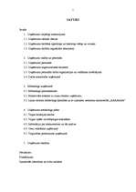 Prakses atskaite 'Prakse lauku tūrisma uzņēmumā "Uzņēmuma vadīšanas un tirgzinības tehnoloģiju nov', 1.