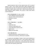 Prakses atskaite 'Prakse lauku tūrisma uzņēmumā "Uzņēmuma vadīšanas un tirgzinības tehnoloģiju nov', 5.