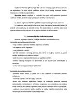 Prakses atskaite 'Prakse lauku tūrisma uzņēmumā "Uzņēmuma vadīšanas un tirgzinības tehnoloģiju nov', 6.