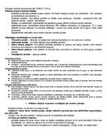 Referāts 'Politikas pamati', 2.