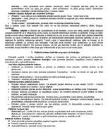 Referāts 'Politikas pamati', 3.