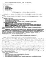 Referāts 'Politikas pamati', 5.