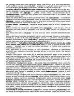 Referāts 'Politikas pamati', 11.