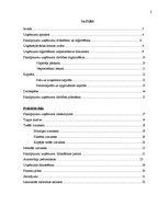 Referāts 'Pakalpojumu uzņēmumu organizēšana', 2.