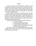 Referāts 'Pakalpojumu uzņēmumu organizēšana', 3.