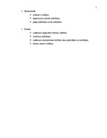 Referāts 'Pakalpojumu uzņēmumu organizēšana', 5.