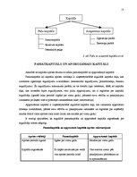 Referāts 'Pakalpojumu uzņēmumu organizēšana', 13.