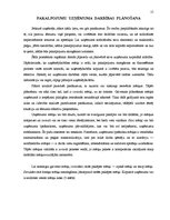 Referāts 'Pakalpojumu uzņēmumu organizēšana', 15.